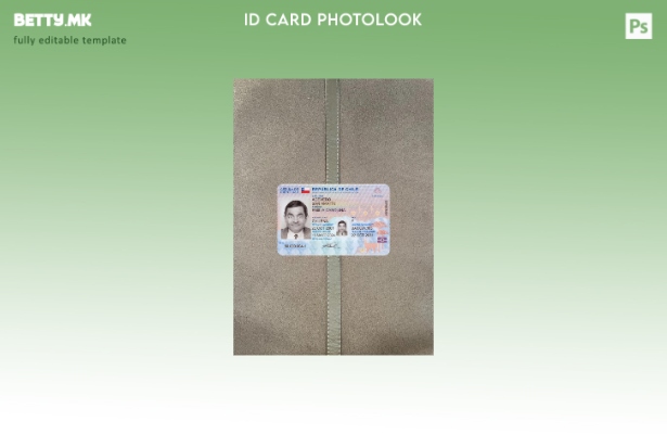 Модерен стил Чиле лична карта присутна photolook пред шаблон